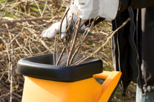Gartenarbeit, Baumschnitt, schreddern, häckseln, Gartensaison