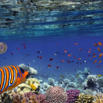 Hoher Stromverbrauch bei Aquarium